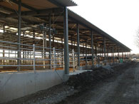 家畜担い手育成総合精美事業茨城中西部地区　家畜保護施設フリーストール牛舎（圷牧場）　建築工事
