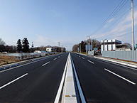 29国補地道道路改良・舗装工事(その4)工事